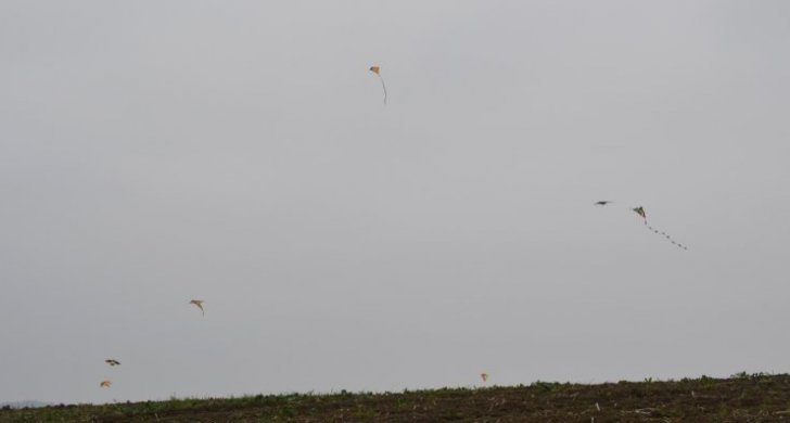 dsc-2026.jpg